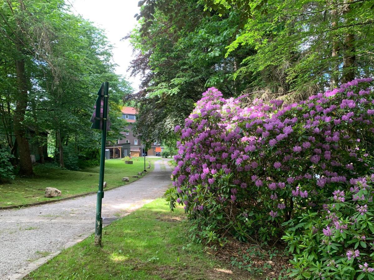 Haus Am Kurpark Apartment Clausthal-Zellerfeld Exterior foto